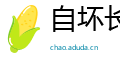 自坏长城网